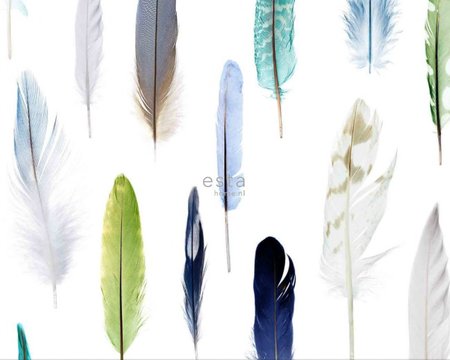 feathers wallpaper XXL 158602