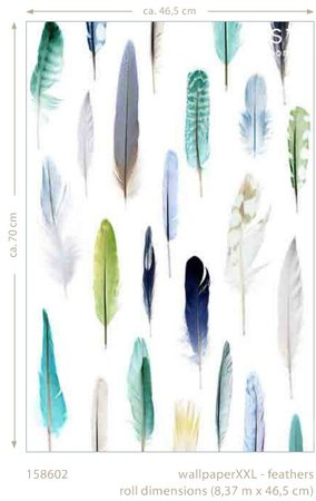 feathers wallpaper XXL 158602