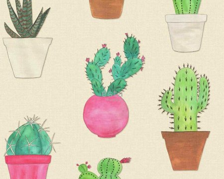 cactus fiesta wallpaper XXL 158604