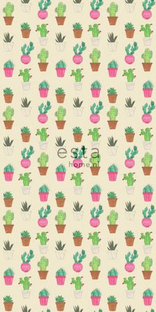 cactus fiesta wallpaper XXL 158604