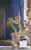 cactus mural 158610 - Groen - Blauw - Beige