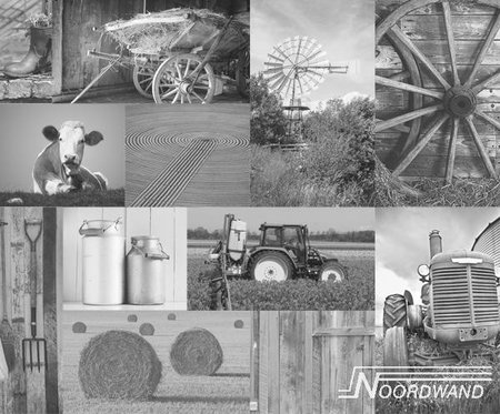 Farm Life 3750002