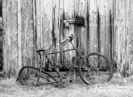 Farm Life 3750016