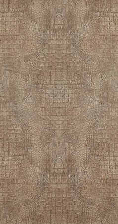 BN Wallcoverings Curious 17951