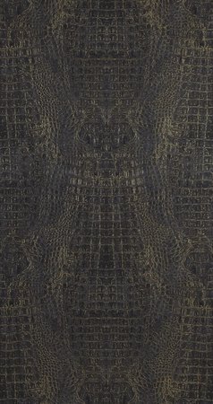 BN Wallcoverings Curious 17956