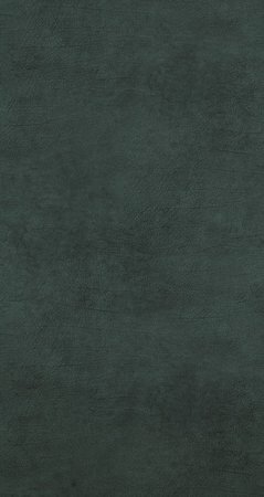 BN Wallcoverings Curious 17935