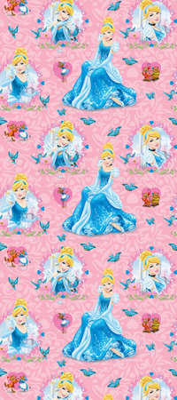 AG Disney Princess WPD9708