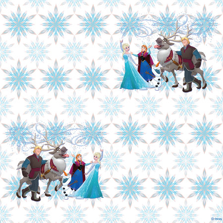 AG Disney Frozen WPD9732