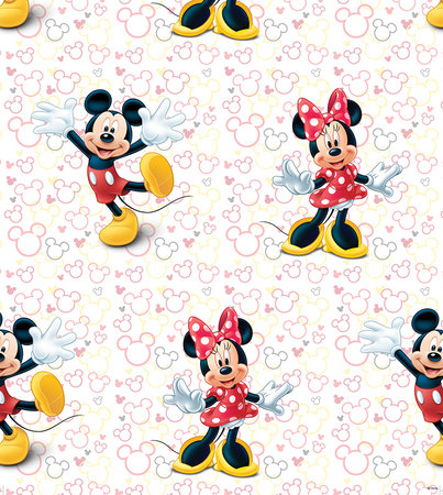 AG Disney Mickey & Minnie WPD9748