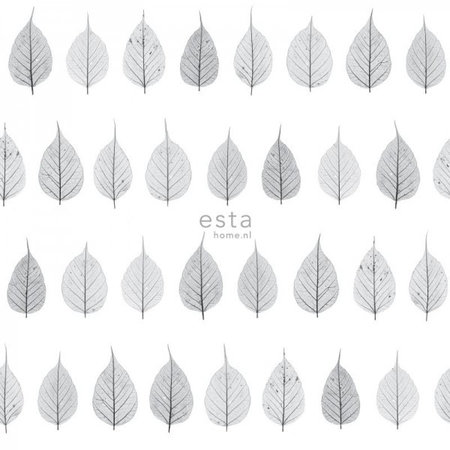 Esta Greenhouse 128846