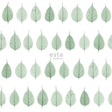 Esta Greenhouse 128847