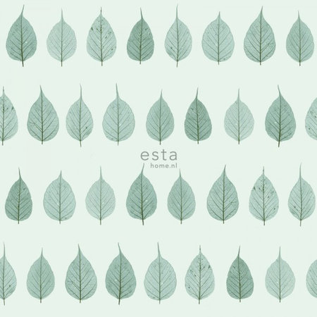 Esta Greenhouse 128848