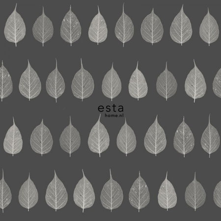 Esta Greenhouse 128849