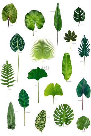 Esta Greenhouse 158831