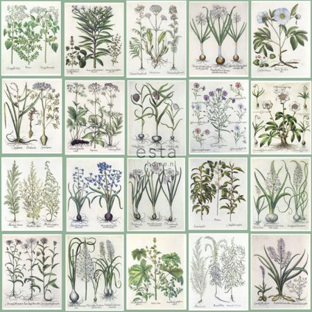 Esta Greenhouse 158826