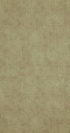 BN Indian Summer 218540