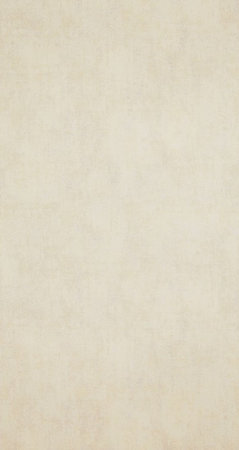 BN Indian Summer 218537