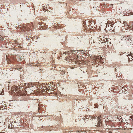 Dutch Collage 42507-20