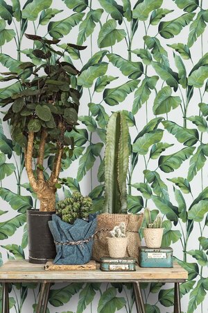 BN Wallcoverings On The Spot 219350
