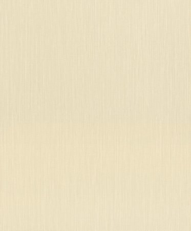 Rasch Barbara 527247