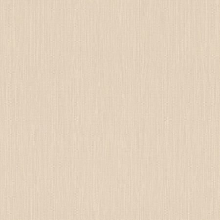 Rasch Barbara 527261