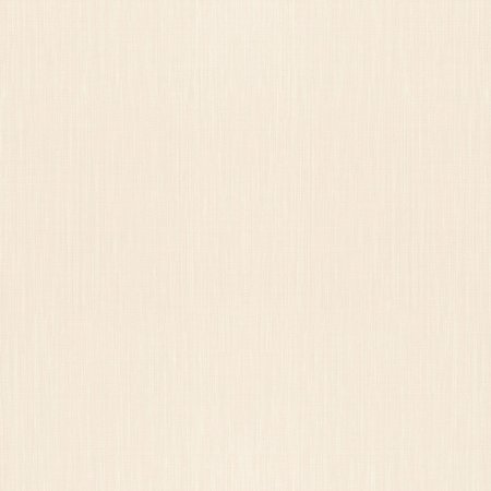 Rasch Barbara 527353