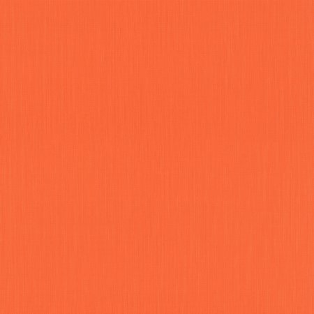 Rasch Barbara 527360