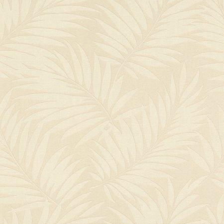 Rasch Barbara 527544