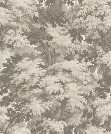 Rasch Barbara 528206