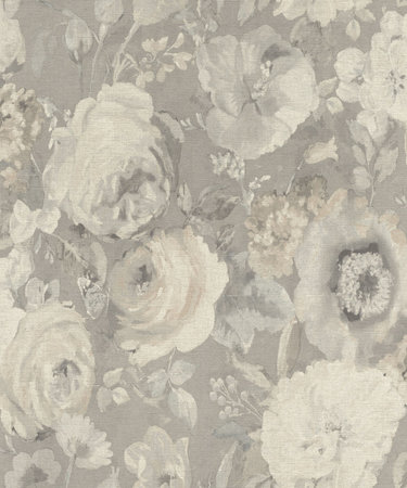 Rasch Barbara 527841
