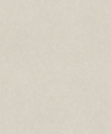 Rasch B.B Home Passion VI 860139
