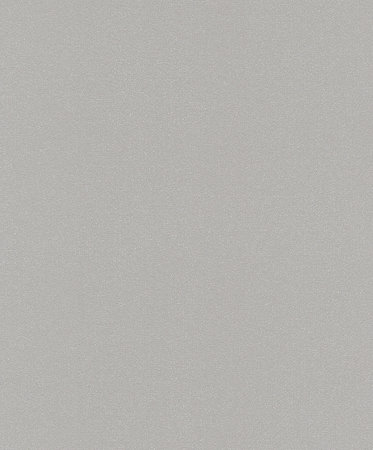 Rasch Sparkling 898255
