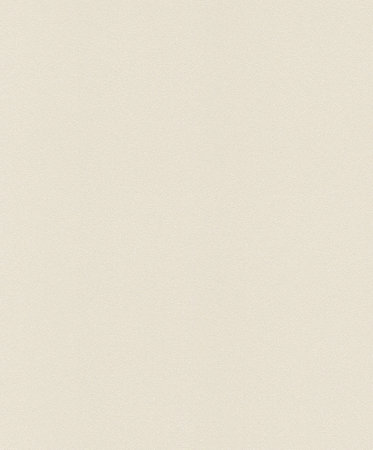 Rasch Sparkling 898248