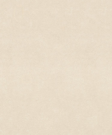 Rasch Vincenza 467147
