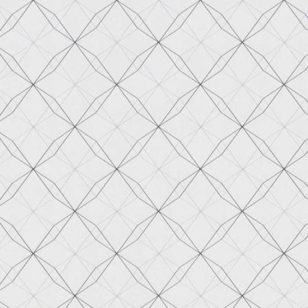 BN Wallcoverings Smalltalk 219242 - Zwart - Wit