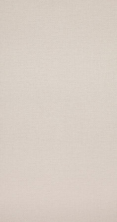 BN Wallcoverings Rise and shine 218975 creme weefsel motief