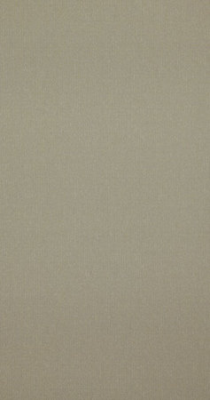 BN Wallcoverings Interior Affairs 218689 (Groen)