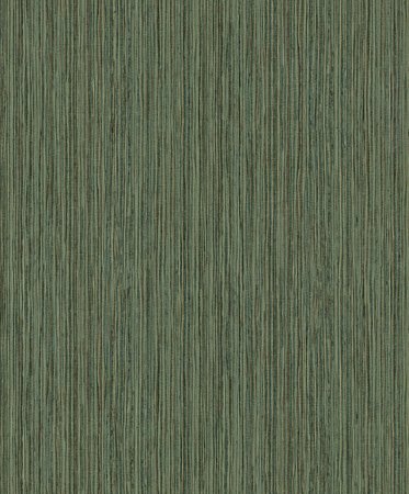 BN Wallcoverings Dimensions 219611 - Groen