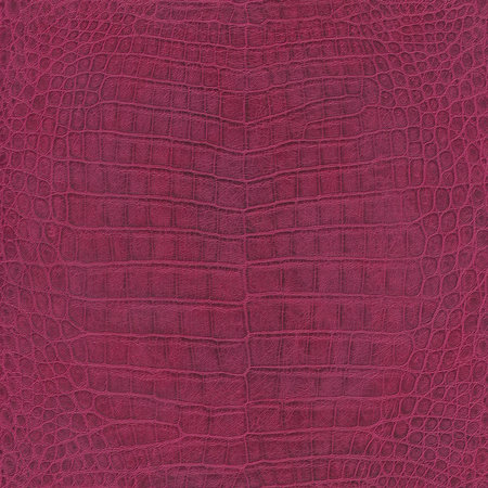 Rasch Mandalay 528701