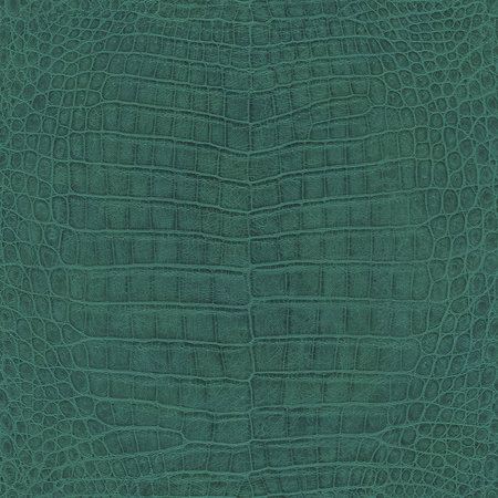 Rasch Mandalay 528718