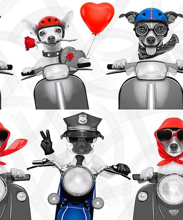 102561 stoere motor honden