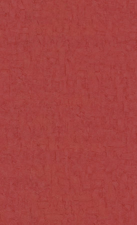 BN Van Gogh 2019 220070 - Rood