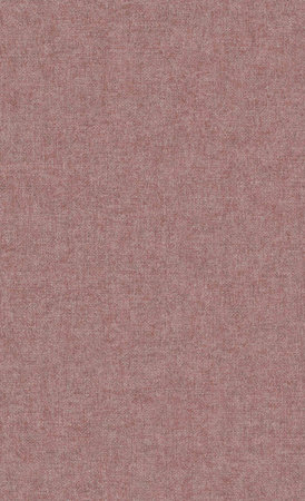 BN Wallcoverings Panthera (met Gratis Lijm!) 220155