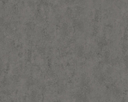 AS Creation Beton Behang 36393-2 / 363932