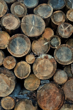 Esta Home Scandi Cool 158206