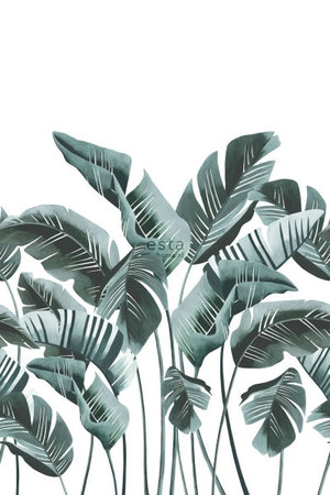 Esta Home Jungle Fever 158898