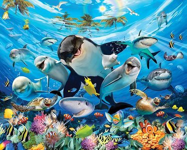 Onderwaterwereld behang Onderwaterwereld behang